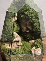 موساریوم طرح طبیعت کوچولو (تراریوم)