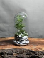 تراریوم رطوبتی شامادورا طرح وایت تایگر