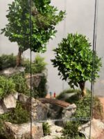 تراریوم لاکچری بنسای ژاپونیکا طرح دبل تیری