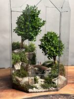 تراریوم لاکچری بنسای ژاپونیکا طرح دبل تیری