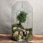 تراریوم لاکچری بنسای ژاپونیکا طرح پل معلق