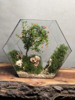 تراریوم لاکچری بنسای انار طرح دره قرمز
