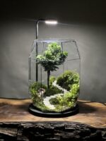 چراغ خواب تراریوم لاکچری بنسای نانا طرح بشکه سبز