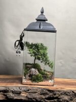 تراریوم چراغدار بنسای جونیپر طرح رد استون