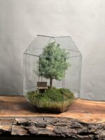 تراریوم لاکچری بنسای کونیکا طرح درخت عشق