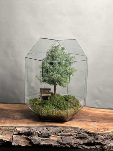 تراریوم لاکچری بنسای کونیکا طرح درخت عشق