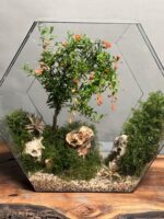 تراریوم لاکچری بنسای انار طرح دره قرمز