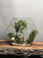 تراریوم لاکچری بنسای انار طرح دره قرمز