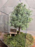تراریوم لاکچری بنسای کونیکا طرح درخت عشق - Image 4
