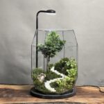 چراغ خواب تراریوم لاکچری بنسای نانا طرح بشکه سبز