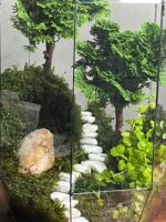تراریوم لاکچری بنسای نانا طرح دبل تیری