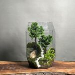 تراریوم لاکچری بنسای نانا طرح دبل تیری