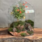 تراریوم ‌لاکچری بنسای انار طرح رد تیری