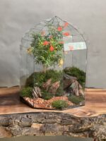 تراریوم لاکچری بنسای انار طرح رد تیری