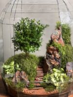 تراریوم لاکچری بنسای ژاپونیکا طرح پله طبیعت