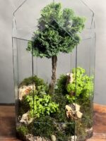 تراریوم لاکچری بنسای نانا طرح جنگل پاین