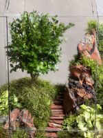 تراریوم لاکچری بنسای ژاپونیکا طرح پله طبیعت