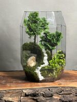 تراریوم لاکچری بنسای نانا طرح دبل تیری