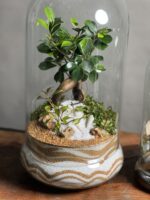 با طراحی مدرن و طبیعی، انتخابی مناسب برای زیباسازی فضاهای داخلی با حداقل نیاز به نگهداری است.