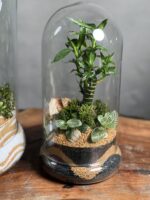 با طراحی مدرن و طبیعی، انتخابی مناسب برای زیباسازی فضاهای داخلی با حداقل نیاز به نگهداری است.