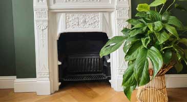 معرفی انواع گیاه برگ انجیری: مانسترا کارستنیانوم (Monstera karstenianum)