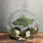 تراریوم لاکچری بنسای جونیپر طرح کره سبز