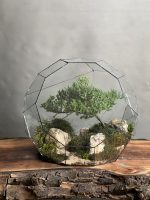 تراریوم لاکچری بنسای جونیپر طرح کره سبز