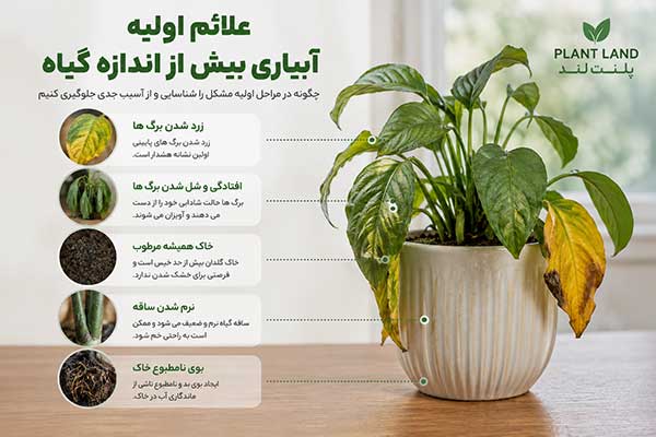 نجات گیاه بیش از اندازه آبیاری شده