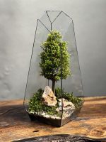 وابی کوزا طرح طبیعت 35 Cm - Image 2