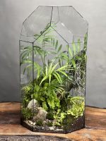 تراریوم رطوبتی طرح جنگل آمازون پرو - Image 2