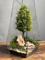 وابی کوزا طرح طبیعت 35 Cm - Image 4