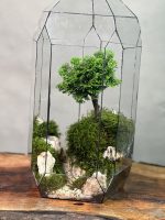 تراریوم بنسای نانا طرح گرین راکت - Image 3