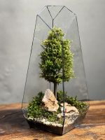 وابی کوزا طرح طبیعت 35 Cm - Image 3