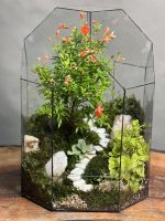 تراریوم لاکچری بنسای انار طرح وایت استیر - Image 3